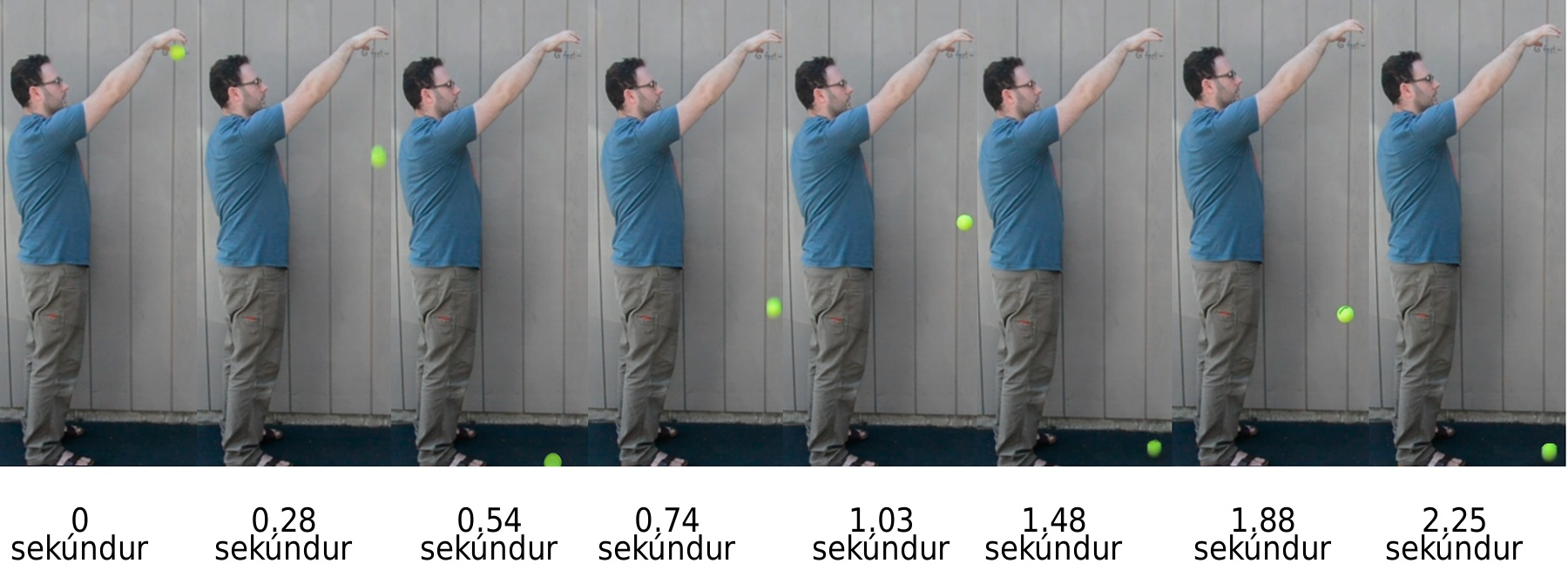 Manneskja í blárri skyrtu og kakíbuxum stendur til hliðar við gráan vegg og heldur gulum tennisbolta yfir höfði sér með útréttum handlegg við 0 sekúndur. Við 0,28 sekúndur er boltinn um það bil í brjósthæð. Við 0,54 sekúndur er boltinn á jörðinni. Við 0,74 sekúndur er boltinn um það bil í hnéhæð. Við 1,03 sekúndur er boltinn um það bil í mittishæð. Við 1,48 sekúndur er boltinn á jörðinni. Við 1,88 sekúndur er boltinn um það bil í hnéhæð. Við 2,25 sekúndur er boltinn á jörðinni.