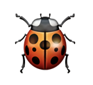 A close-up illustration of a ladybug with a red, black-spotted shell, six legs, and two antennae, shown on a white background.