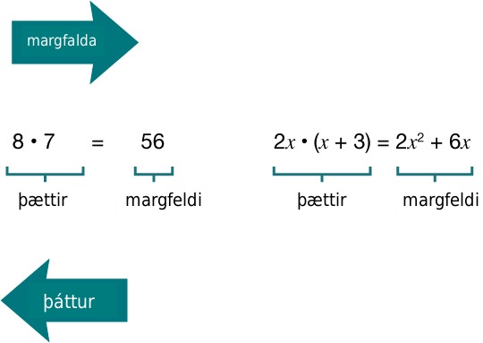 Skýringarmynd sem sýnir margföldun og þáttun. Vinstra megin er 8 × 7 = 56 og hægra megin er 2x × (x + 3) = 2x^2 + 6x.
