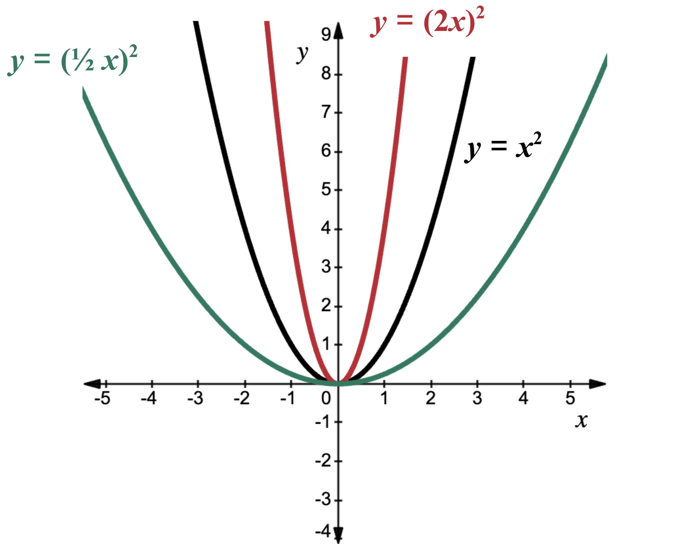 Graf grunnfallsins er sýnt með svörtum lit í hnitakerfi. Gröf fallanna sem hafa verið sköluð lárétt eru merkt sem y=(1/2x)² og y=(2x)².