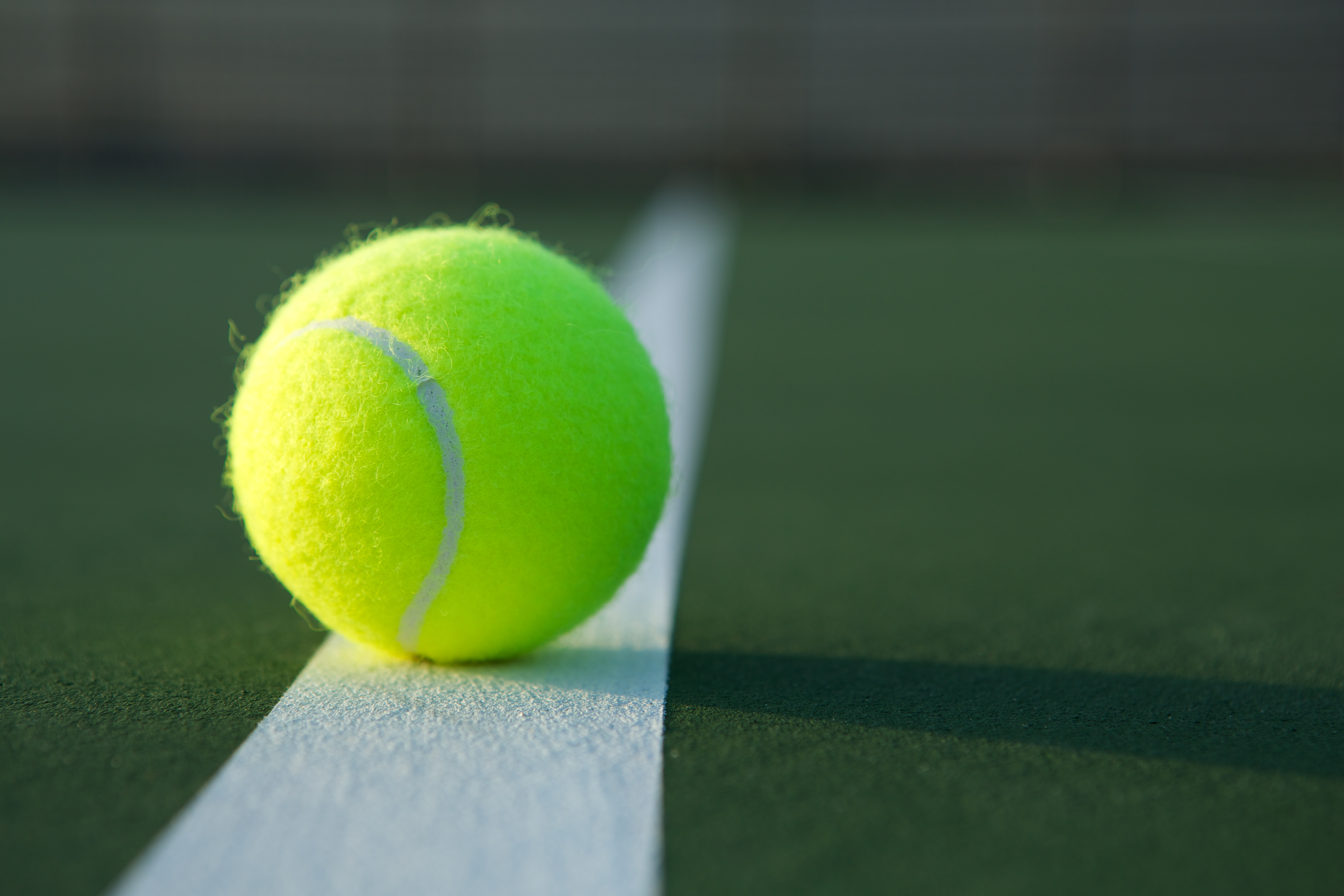Gulur tennisbolti á hvítri línu á grænum tennisvelli.