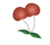 Two red cherries with green leaves and thin white stems on a white background.