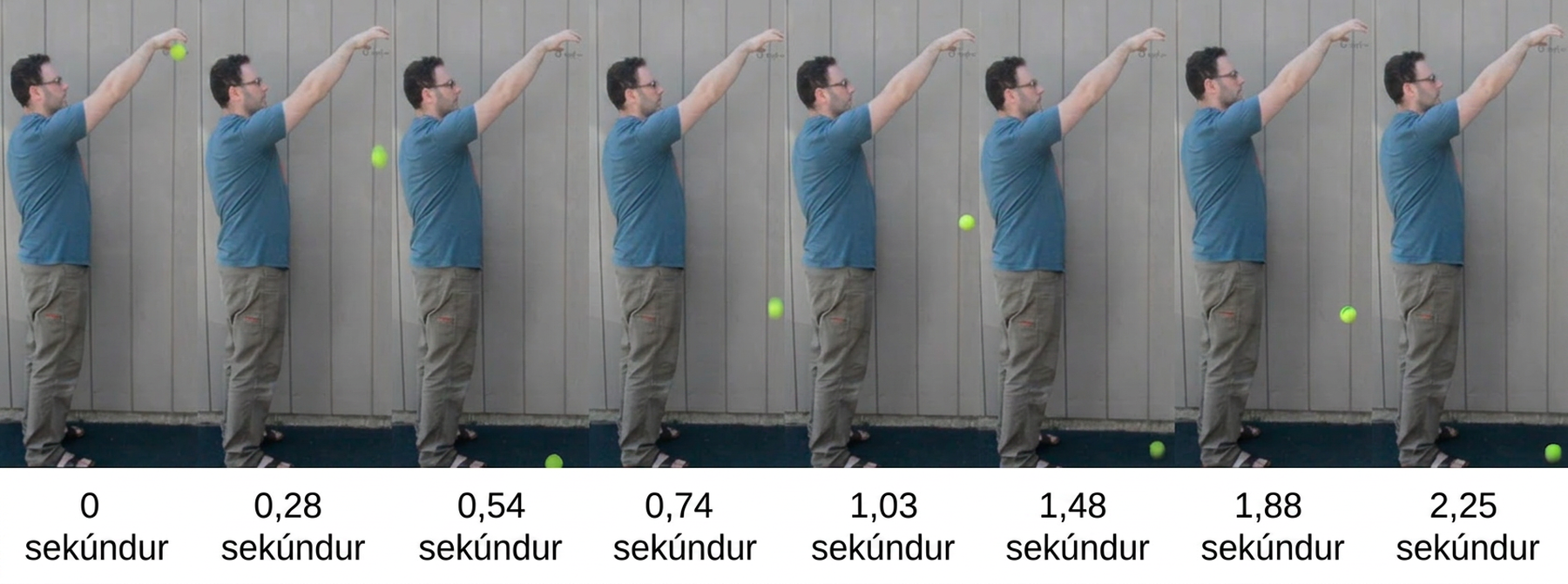 Manneskja í blárri skyrtu og kakíbuxum stendur til hliðar við gráan vegg og heldur gulum tennisbolta yfir höfði sér með útréttum handlegg við 0 sekúndur. Við 0,28 sekúndur er boltinn um það bil í brjósthæð. Við 0,54 sekúndur er boltinn á jörðinni. Við 0,74 sekúndur er boltinn um það bil í hnéhæð. Við 1,03 sekúndur er boltinn um það bil í mittishæð. Við 1,48 sekúndur er boltinn á jörðinni. Við 1,88 sekúndur er boltinn um það bil í hnéhæð. Við 2,25 sekúndur er boltinn á jörðinni.