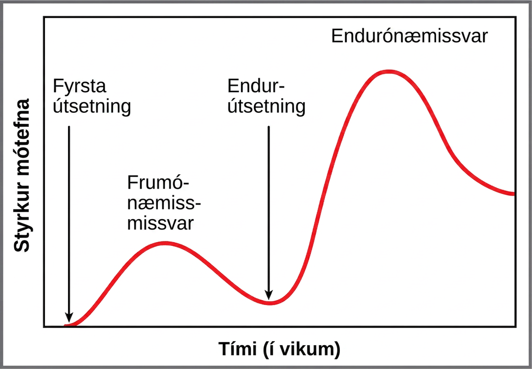 Línurit sýnir mótefnastyrk með tíma. Frumsvar gegn vaka A hækkar seinna og minna en endursvar gegn sama vaka; fyrsta gjöf vaka B síðar á tímalínunni framkallar nýtt frumsvar.