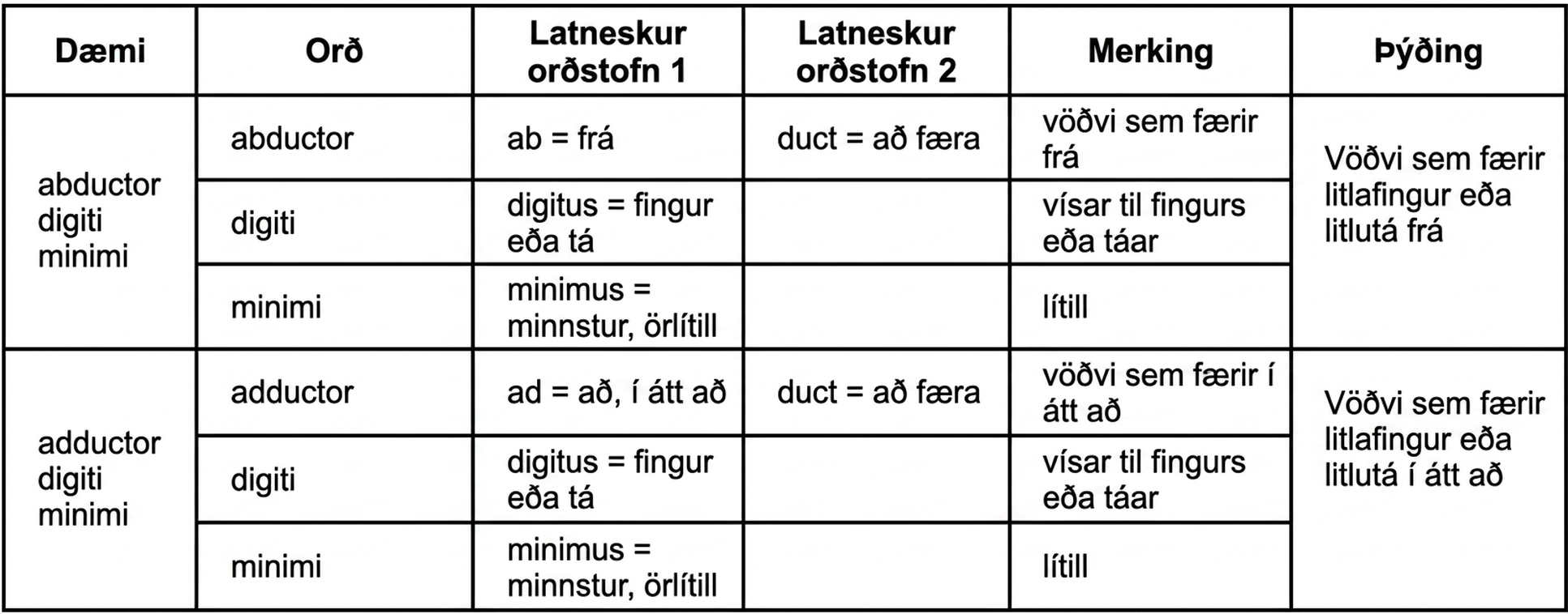 Taflan sýnir tvö dæmi um vöðvaheiti og hvernig má ráða merkingu þeirra af latneskum orðstofnum. Í fyrra dæminu er heitið abductor digiti minimi. Abductor er myndað af latnesku stofnunum ab, sem merkir frá, og duct, sem merkir að hreyfa. Abductor er því vöðvi sem færir líkamshluta frá einhverju. Digiti er dregið af latneska orðinu digitus, sem merkir fingur eða tá. Minimi er dregið af minimus, sem merkir minnstur eða lítill. Abductor digiti minimi er því vöðvi sem færir litlafingur eða litlutá frá næsta fingri eða tá. Í síðara dæminu er heitið adductor digiti minimi. Adductor er myndað af latnesku stofnunum ad, sem merkir að eða í átt að, og duct, sem merkir að hreyfa. Adductor er því vöðvi sem færir líkamshluta að einhverju. Líkt og í fyrra heitinu vísar digiti til fingurs eða táar og minimi til einhvers smás. Adductor digiti minimi er því vöðvi sem færir litlafingur eða litlutá að næsta fingri eða tá.