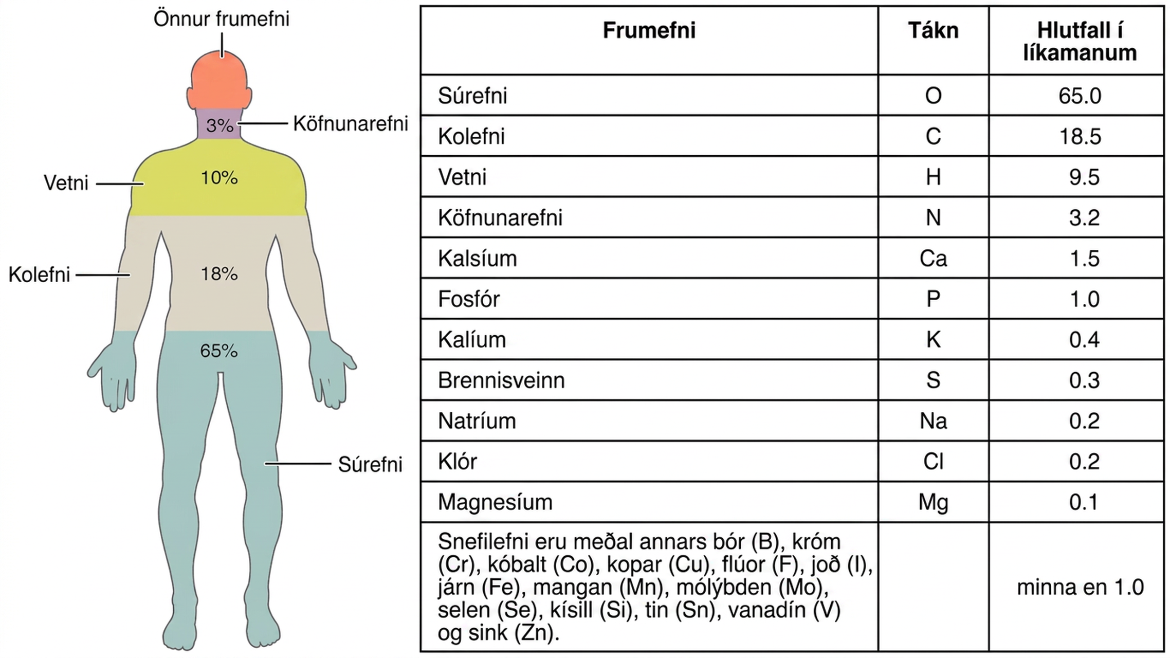 Myndin sýnir mannslíkama og hundraðshlutfall helstu frumefna líkamans á vinstri hluta hennar. Á hægri hlutanum er tafla yfir frumefnin og hundraðshlutfall þeirra í líkamanum.