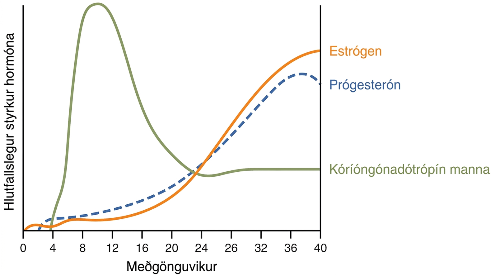 Línurit sýnir hvernig styrkur hCG, estrógena og prógesteróns breytist yfir vikur meðgöngu; myndin er einfölduð og sýnir ekki starfrænt fráhvarf prógesterónáhrifa.
