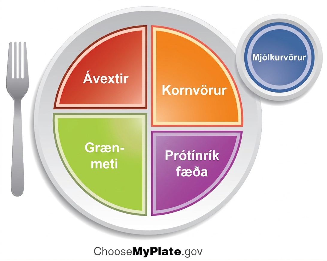Mynd af diski sem skipt er í bandarísku MyPlate-flokkana ávexti, grænmeti, kornvörur og prótínríka fæðu, með mjólkurvörur til hliðar. Myndin er bandarískt sögulegt dæmi; íslenskar ráðleggingar setja grænmeti, ávexti og ber á helming disks, kartöflur, bygg eða heilkorn á fjórðung og prótínríka fæðu á fjórðung.
