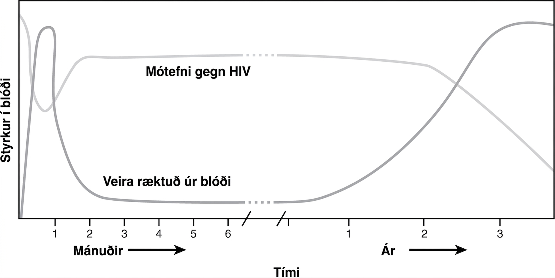 Línurit sýnir HIV-veirumagn og mótefnamagn í blóði yfir mörg ár: veirumagn nær háum upphafstoppi, lækkar við sermisvendingu og getur hækkað aftur seint í ómeðhöndlaðri sýkingu.