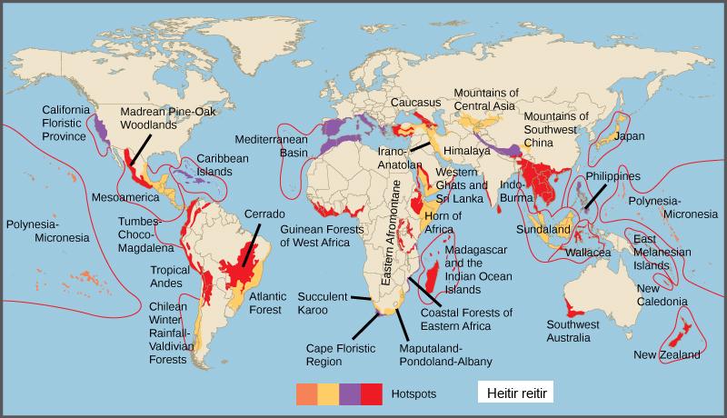 Biodiversity hotspots are indicated on a world map. Most hotspots occur in coastal regions and on islands. Some of the hotspots include New Zealand, Madagascar, Thailand, Vietnam, the west coast of Central America, and southwest Austrailia. Some other areas indicated are the California cost, labeled as the California floristic province, the Mediterranean Basin, and the Carribean islands.