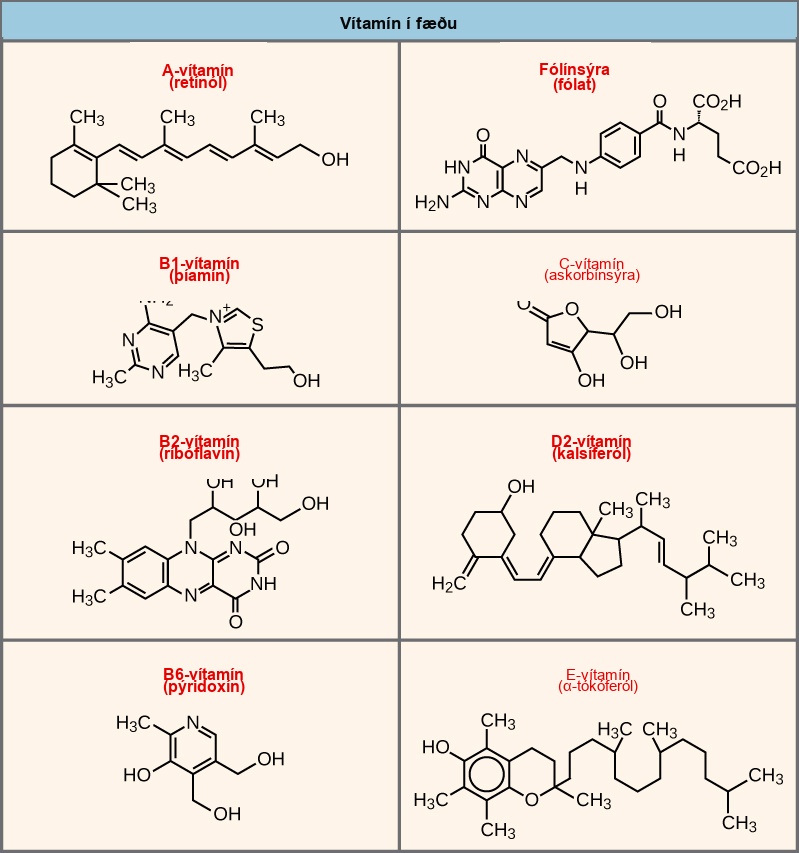 Shown are the molecular structures for Vitamin A, folic acid, Vitamin B1, Vitamin C, Vitamin B2, Vitamin D2, Vitamin B6, and Vitamin E.