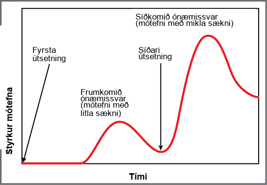 A graph plots antibody concentration over time during primary and secondary immune response. During the primary immune response, a low concentration of antibody is produced. Antibody is only produced after a delay from the time of the initial exposure. During the secondary immune response, about three times as much antibody is produced, and production begins much more quickly after the secondary exposure.