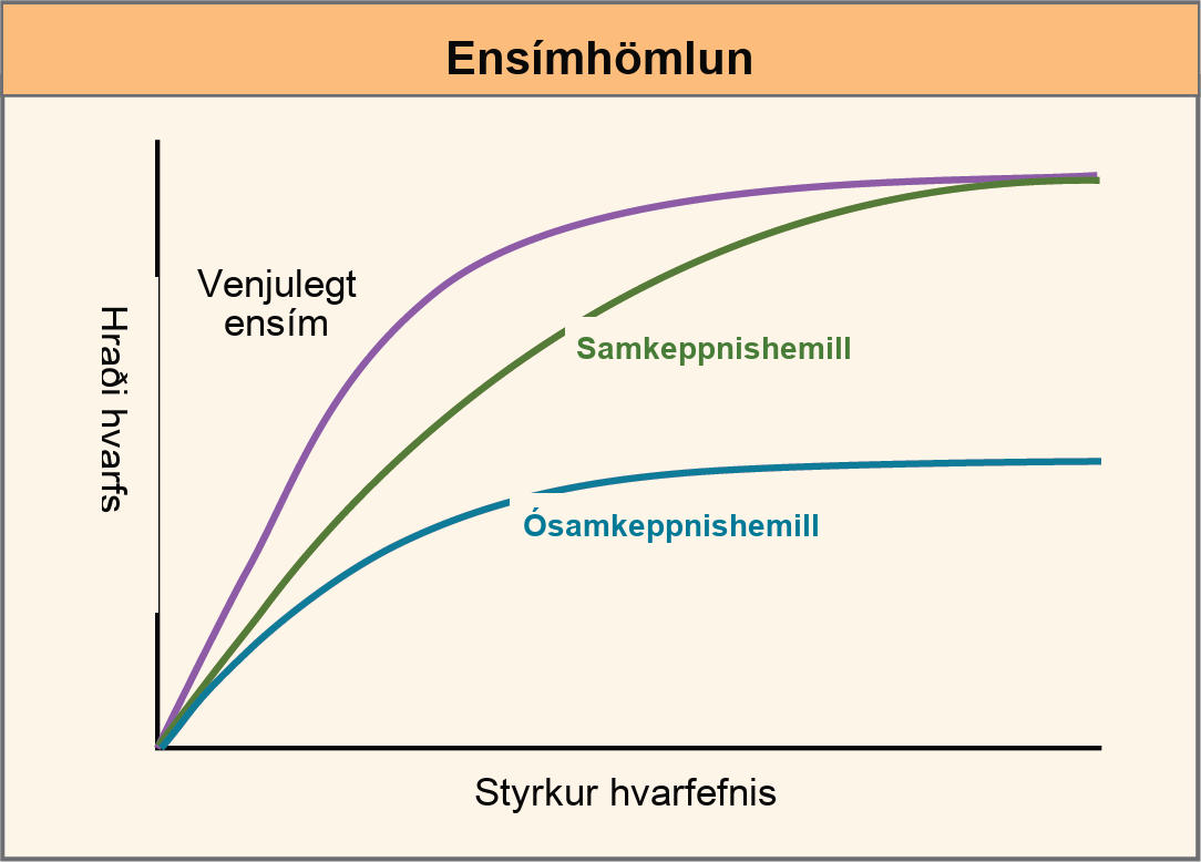 This plot shows rate of reaction versus substrate concentration for an enzyme in the absence of inhibitor, and for enzyme in the presence of competitive and noncompetitive inhibitors. Both competitive and noncompetitive inhibitors slow the rate of reaction, but competitive inhibitors can be overcome by high concentrations of substrate, whereas noncompetitive inhibitors cannot.