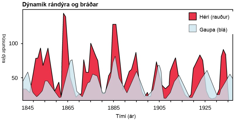 The graph plots number of animals, either hare or lynx, in thousands versus time in years. The number of hares fluctuates between 10,000 at the low points, and 75,000 to 150,000 at the high points. There are typically fewer lynxes than hares, but the trend in number of lynxes follows the number of hares; meaning that more hares trends to more lynx as well