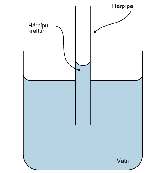 A thin hollow tube sits in a beaker of water. The water level inside the tube is higher than the water level in the beaker due to capillary action.