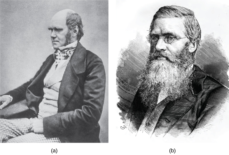 Images of Charles Darwin and Alfred Wallace are shown.