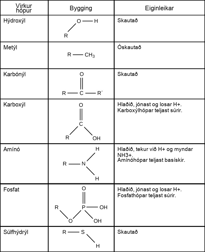 Table shows the structure and properties of different functional groups. Hydroxyl groups, which consist of upper case O upper case H attached to a carbon chain, are polar. Methyl groups, which consist of three hydrogens attached to a carbon chain, are nonpolar. Carbonyl groups, which consist of an oxygen double bonded to a carbon in the middle of a hydrocarbon chain, are polar. Carboxyl groups, which consist of a carbon with a double bonded oxygen and an upper O upper H group attached to a carbon chain, are able to ionize, releasing H positive ions into solution. Carboxyl groups are considered acidic. Amino groups, which consist of two hydrogens attached to a nitrogen, are able to accept H positive ions from solution, forming H subscript 3 baseline positive. Amino groups are considered basic. Phosphate groups consist of a phosphorous with one double bonded oxygen and two upper O upper H groups. Another oxygen forms a link from the phosphorous to a carbon chain. Both upper O upper H groups in phosphorous can lose an H positive ion, and phosphate groups are considered acidic. Sulfhydryl group has an upper-case S upper-case H group bonded to a carbon chain. The bond is polar due to the small difference in electronegativity of sulfur and hydrogen.