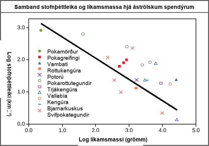 Graph plots log density in kilometers squared versus log body mass in grams. The values are inversely proportional, so that density decreases linearly with increasing body mass.