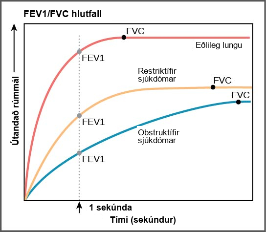 The graph plots volume exhaled versus time. In normal lungs, almost all of the air can be forcibly exhaled within one second after taking a deep breath, resulting in a curve that rises steeply at first then plateaus shortly after one second. The volume after 1 second is the F E V 1, and it is almost as high as the volume at which the plateau is reached, which is the F V C. In lungs of persons with restrictive lung disease, the F V C is considerably lower but the person can exhale reasonably fast, resulting in a curve that is similar in shape, but with a lower plateau, or F V C, than for normal lungs. The F E V 1 value is still a significant proportion of the F V C value. In lungs of persons with obstructive lung disease, the F V C is low and exhalation is much slower, resulting in a flatter curve with a lower plateau. The slower exhalation results in a F E V 1 value much lower than the F V C value.
