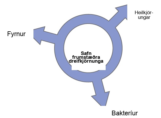 Illustration shows a ring with the words, pool of primitive prokaryotes, in the middle. Three arrows point outward from the ring, pointing at the three domains, Bacteria, Archaea, and Eukarya, indicating that all three domains arose from a common pool of prokaryotes.