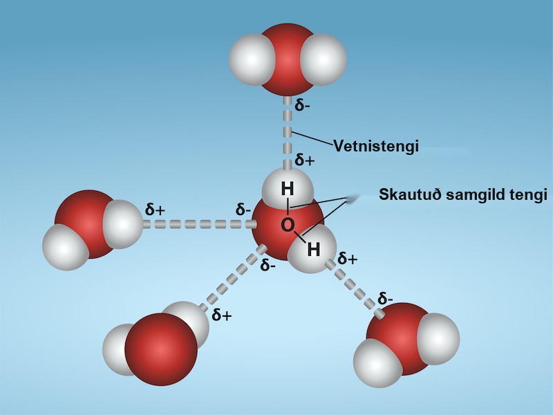 Four water molecules are shown, with hydrogen bonds between them. The hydrogen bonds are dotted lines connecting the hydrogen atom from one molecule with an oxygen atom from another molecule.
