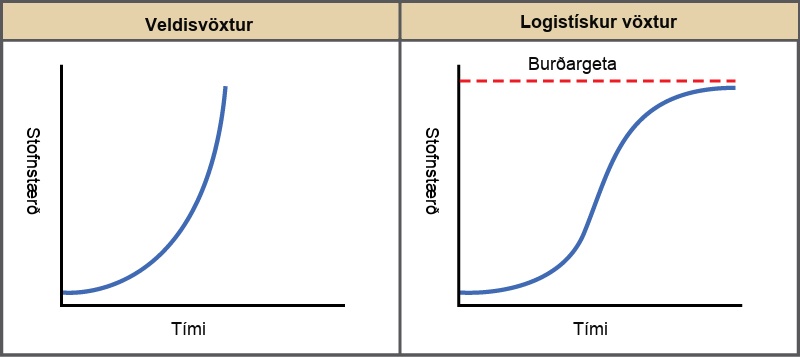 Tvö línurit sýna stofnstærð eftir tíma. Veldisvöxtur myndar J-laga feril en logistískur vöxtur hægir á sér og jafnast út við burðarþol.