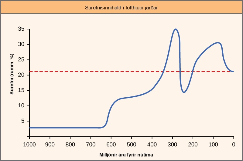 The chart shows the percent oxygen by volume in the Earth’s atmosphere. Until 625 million years ago, there was virtually no oxygen. Oxygen levels began to rapidly climb around this time, and peaked around 275 million years ago, at about 35 percent. Between 275 and 225 million years ago, oxygen levels dropped precipitously to about 15 percent, and then climbed again and dropped to the modern-day concentration of 22 percent.