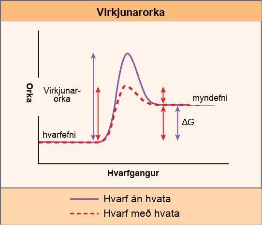 This plot shows that a catalyst decreases the activation energy for a reaction but does not change the Gibbs free energy.