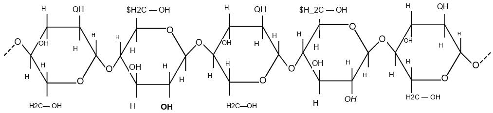 This illustration shows three glucose subunits that are attached together. Dashed lines at each end indicate that many more subunits make up an entire cellulose fiber. Each glucose subunit is a closed ring composed of carbon, hydrogen, and oxygen atoms.