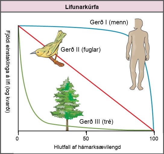 Graph plots the log of number of individuals surviving versus time. Three curves are shown, representing Type I, Type II, and Type III survivorship patterns. Birds exhibit a Type II survivorship curve, which decreases linearly with time. Humans show a Type I survivorship curve, which starts with a gentle slope that becomes increasingly steep with time. Trees show a Type III survivorship pattern, which starts with a steep slope that becomes less steep with time.