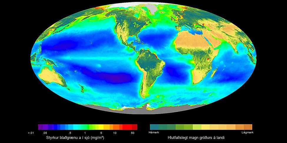 The image shows a map of the world, colored by the levels of chlorophyll a on land and in the ocean.