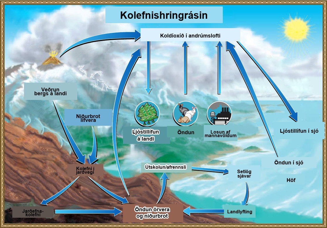 The illustration shows the carbon cycle. Carbon enters the atmosphere as carbon dioxide gas that is released from human emissions, respiration and decomposition, and volcanic emissions. Carbon dioxide is removed from the atmosphere by marine and terrestrial photosynthesis. Carbon from the weathering of rocks and decomposition of organisms becomes soil carbon, which over time can become fossil carbon. Carbon enters the ocean from land via leaching and runoff. Uplifting of ocean sediments can return carbon to land.
