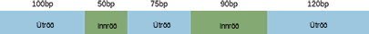 An illustration shows that before R N A processing, there is a primary R N A transcript including five boxes and their associated lengths in base pairs (abbreviated b p) labeled, left to right, as exon with 100 b p, intron with 50 b p, exon with 75 b p, intron with 90 b p and exon with 120 b p.