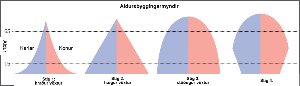 For the four different age structure diagrams shown, the base represents birth and the apex occurs around age 70. The age structure diagram for stage 1, rapid growth, is shaped like a deflated triangle that starts out wide at the base and rapidly decreases to a narrow apex, indicating that the number of individuals decreases rapidly with age. The age structure diagram for stage 2, slow growth, is triangular in shape, indicating that the number of individuals decreases steadily with age. The age structure diagram for stage 3, stable growth, is rounded at the top, indicating that the number of individuals per age group decreases gradually at first, then decreases more rapidly for the older portion of the population. The final age structure diagram, stage 4, widens from the base to middle age, and then narrows to a rounded top. The population type indicated by this diagram is not given, as this is part of the Visual Connection question.