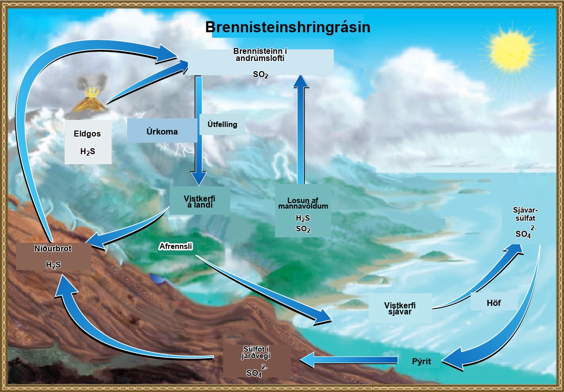 This illustration shows the sulfur cycle. Sulfur enters the atmosphere as sulfur dioxide, or upper S upper O 2, via human emissions, decomposition of upper H 2 upper S, and volcanic eruptions. Precipitation and fallout from the atmosphere return sulfur to the Earth, where it enters terrestrial ecosystems. Sulfur enters the oceans via runoff, where it becomes incorporated in marine ecosystems. Some marine sulfur becomes pyrite, which is trapped in sediment. If upwelling occurs, the pyrite enters the soil and is converted to soil sulfates.