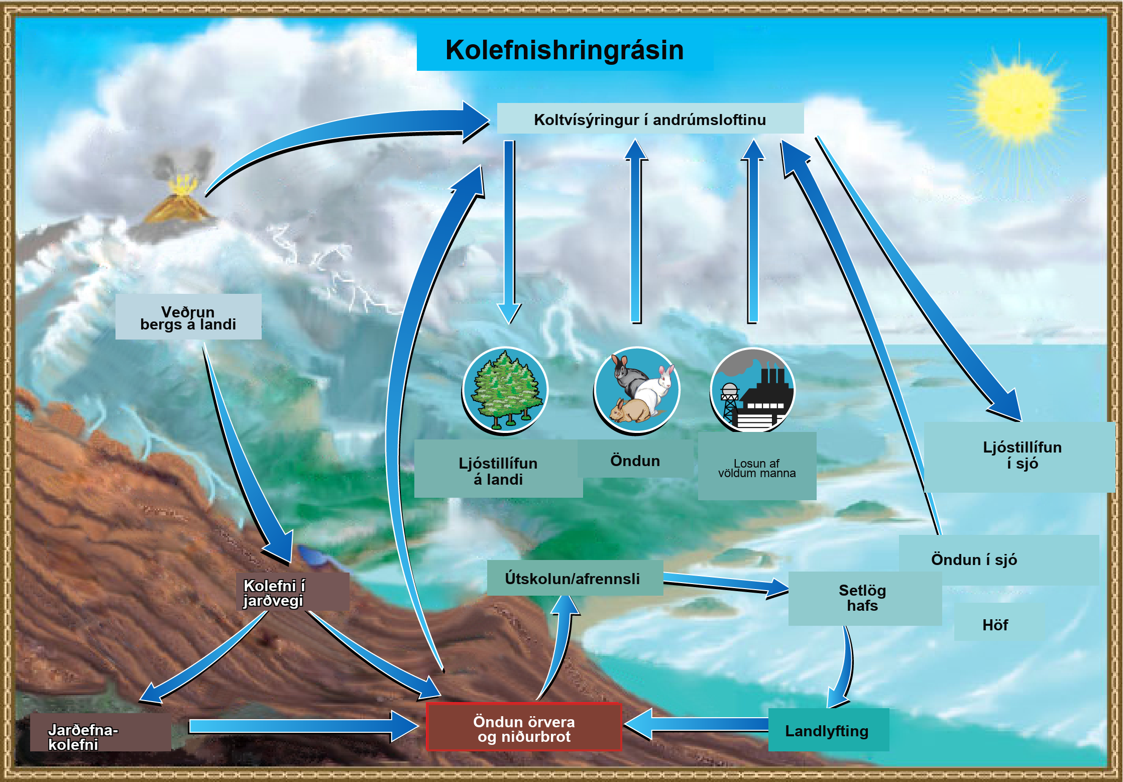 Skýringarmynd af kolefnishringrásinni sýnir kolefnisflæði milli andrúmslofts, plantna, dýra, sundrenda, jarðvegs, vatns, setlaga, bergs og jarðefnaeldsneytis.