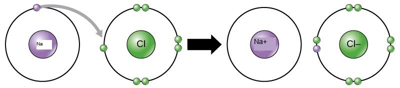 A sodium and a chlorine atom sit side by side. The sodium atom has one valence electron, and the chlorine atom has seven. Six of chlorines electrons form pairs at the top, bottom and right sides of the valence shell. The seventh electron sits alone on the left side. The sodium atom transfers its valence electron to chlorines valence shell, where it pairs with the unpaired left electron. An arrow indicates a reaction takes place. After the reaction takes place, the sodium becomes a cation with a charge of plus one and an empty valence shell, while the chlorine becomes an anion with a charge of minus one and a full valence shell containing eight electrons.