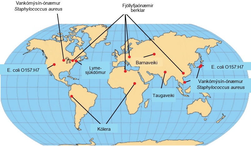 Emerging or re-emerging bacterial diseases are shown on a world map. Multidrug resistant tuberculosis is emerging in North America, Europe, north Africa, and Asia. Vancomycin resistant Staphylococcus aureus and E coli O 1 5 7 colon H 7 are emerging in North America and East Asia. Lyme disease is spreading in North America. Cholera is emerging in Africa and South America. Diptheria and typhoid fever are re emerging in Asia.