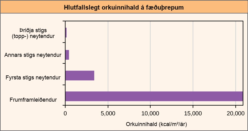 Graph shows energy content in different trophic levels. The energy content of primary producers is over 20,000 kilocalories per meter squared per year. The energy content of primary consumers is much smaller, about 3,400 kilocalories per meter squared per year. The energy content of secondary consumers is 383 kilocalories per meter squared per year, and the energy content of tertiary consumers is only 21 kilocalories per meter squared per year.