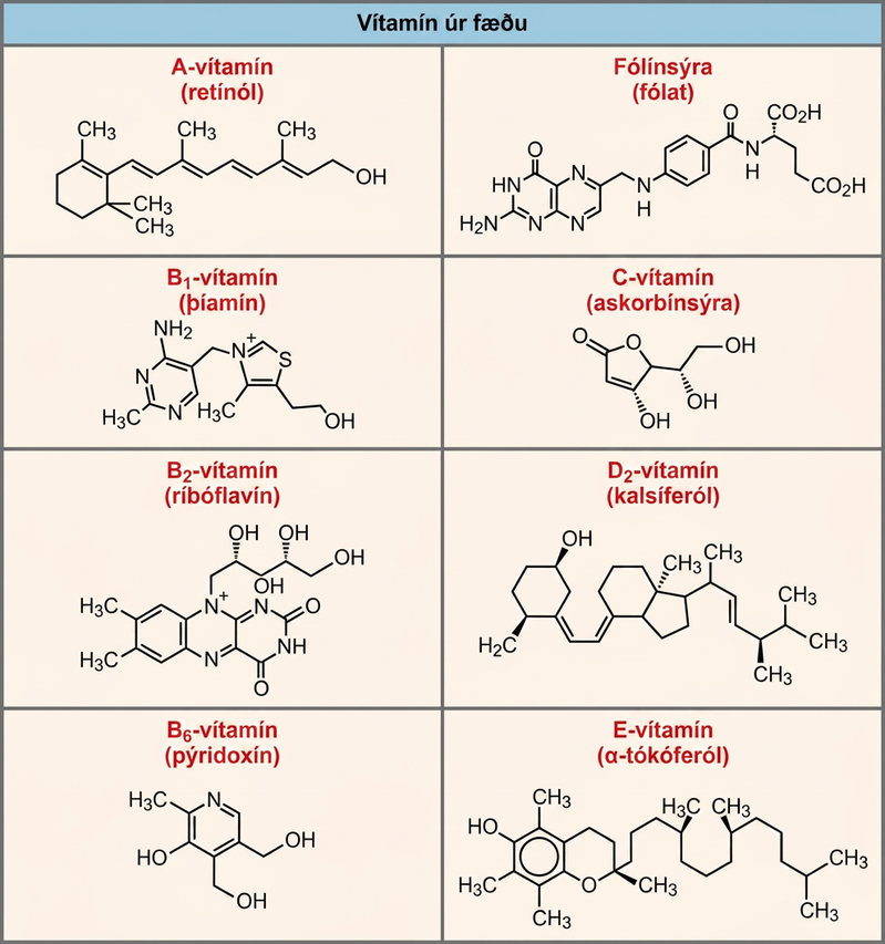Shown are the molecular structures for Vitamin A, folic acid, Vitamin B1, Vitamin C, Vitamin B2, Vitamin D2, Vitamin B6, and Vitamin E.