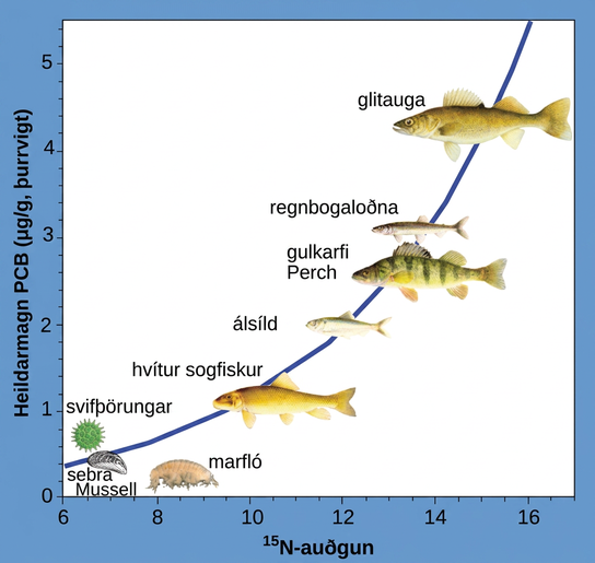 The illustration is a graph that plots total P C Bs in micrograms per gram of dry weight versus nitrogen 15 enrichment. It shows that P C Bs become increasingly concentrated at higher trophic levels. The slope of the graph becomes increasingly steep from phytoplankton, the primary consumer, to walleye, the tertiary consumer.