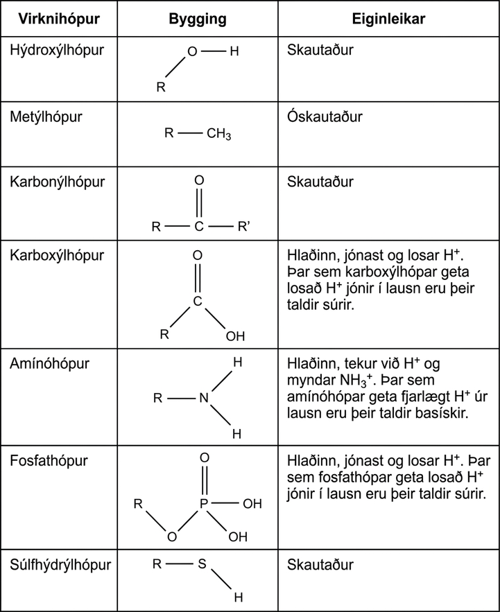 Table shows the structure and properties of different functional groups. Hydroxyl groups, which consist of upper case O upper case H attached to a carbon chain, are polar. Methyl groups, which consist of three hydrogens attached to a carbon chain, are nonpolar. Carbonyl groups, which consist of an oxygen double bonded to a carbon in the middle of a hydrocarbon chain, are polar. Carboxyl groups, which consist of a carbon with a double bonded oxygen and an upper O upper H group attached to a carbon chain, are able to ionize, releasing H positive ions into solution. Carboxyl groups are considered acidic. Amino groups, which consist of two hydrogens attached to a nitrogen, are able to accept H positive ions from solution, forming H subscript 3 baseline positive. Amino groups are considered basic. Phosphate groups consist of a phosphorous with one double bonded oxygen and two upper O upper H groups. Another oxygen forms a link from the phosphorous to a carbon chain. Both upper O upper H groups in phosphorous can lose an H positive ion, and phosphate groups are considered acidic. Sulfhydryl group has an upper-case S upper-case H group bonded to a carbon chain. The bond is polar due to the small difference in electronegativity of sulfur and hydrogen.