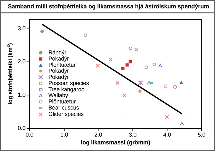 Graph plots log density in kilometers squared versus log body mass in grams. The values are inversely proportional, so that density decreases linearly with increasing body mass.