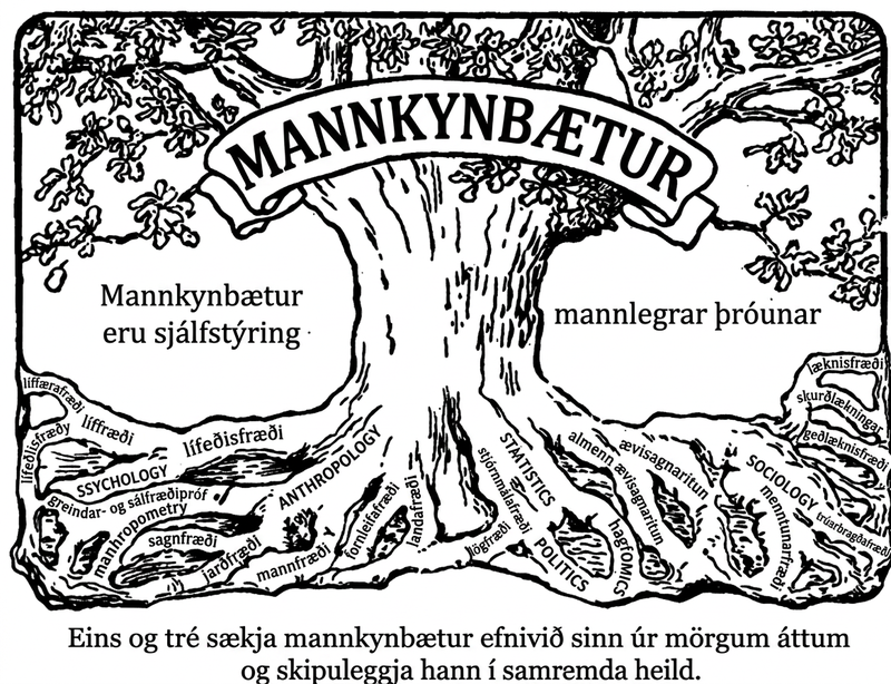 Illustration shows a tree with words such as genetics, statistics, medicine, economics, and genealogy associated with the roots. The word eugenics is emblazoned across the upper trunk. To the side of the tree is the text that reads, Eugenics is the self-direction of human evolution.