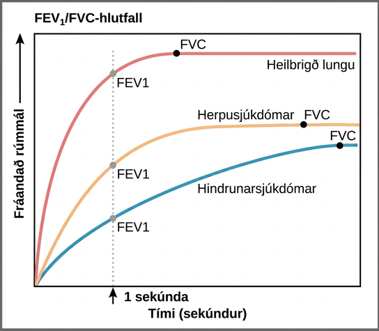 The graph plots volume exhaled versus time. In normal lungs, almost all of the air can be forcibly exhaled within one second after taking a deep breath, resulting in a curve that rises steeply at first then plateaus shortly after one second. The volume after 1 second is the F E V 1, and it is almost as high as the volume at which the plateau is reached, which is the F V C. In lungs of persons with restrictive lung disease, the F V C is considerably lower but the person can exhale reasonably fast, resulting in a curve that is similar in shape, but with a lower plateau, or F V C, than for normal lungs. The F E V 1 value is still a significant proportion of the F V C value. In lungs of persons with obstructive lung disease, the F V C is low and exhalation is much slower, resulting in a flatter curve with a lower plateau. The slower exhalation results in a F E V 1 value much lower than the F V C value.