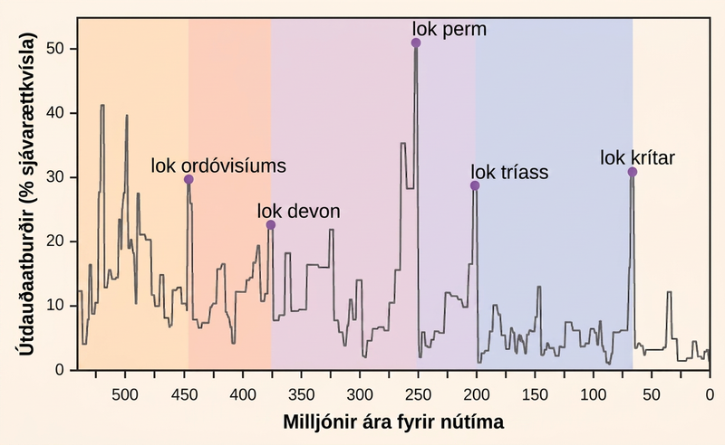 The chart shows percent extinction intensity of eliminated marine genera versus time in millions of years before present. Extinction intensity spikes at boundaries between periods, including the end of the Ordovician which had 30 percent extinction occurrences of marine genera approximately 450 million years ago. The late Devonian had approximately 25 percent extinction occurrences of marine genera at roughly 375 million years ago. The end of the Permian had 50 percent extinction occurrences of marine genera approximately 250 million years ago. The end of the Triassic had roughly 30 percent extinction occurrences of marine genera 200 million years ago. And the end of the Cretaceous periods had over 30 percent extinction occurrences of marine genera roughly 70 million years ago.