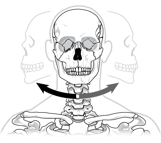 Illustration shows a human skull twisting left and right on the neck in a pivot-like motion.