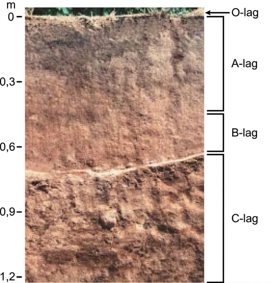 In the photo, soil has been cut away to reveal the soil profile. The O horizon is at the soil surface and is a rich black color. The brown A horizon starts beneath the O horizon and extends to about 0.75 meters beneath the surface. The B horizon is reddish brown and extends from the bottom of the A horizon to about 0.6 meters deep. The C horizon extends from the bottom of the B horizon to the bottom of the photo at a depth of 1.2 meters. The C horizon is light brown and has a coarser consistency than the A or B horizons.