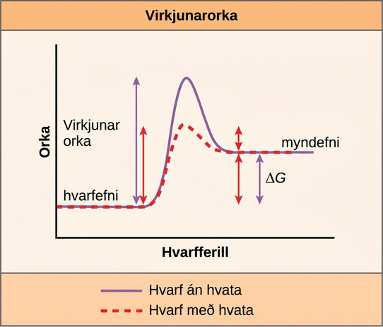 This plot shows that a catalyst decreases the activation energy for a reaction but does not change the Gibbs free energy.