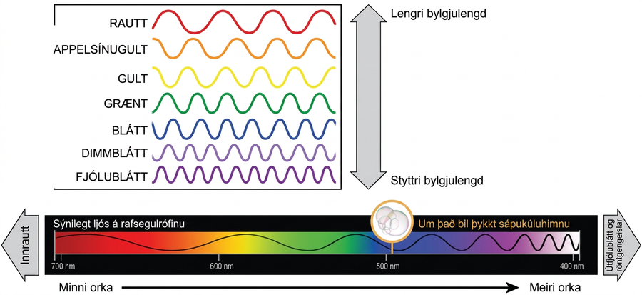 The illustration shows the colors of visible light. In order of decreasing wavelength, these are red, orange, yellow, green, blue, indigo, and violet.
